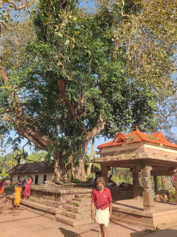 Temple Pond Meditation Point - Image 2