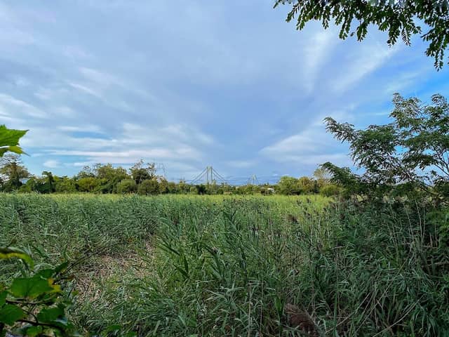 South Beach Wetlands - Image 5