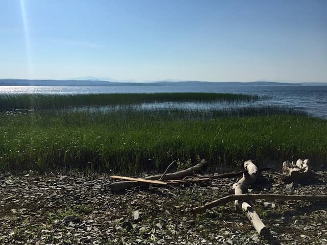 Round Pond Natural Area - Image 2