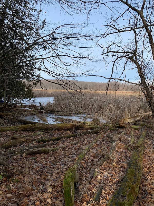 Round Pond Natural Area - Image 1
