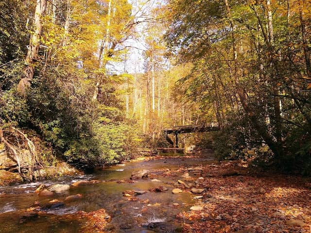 Cover Trail #74 - Image 1