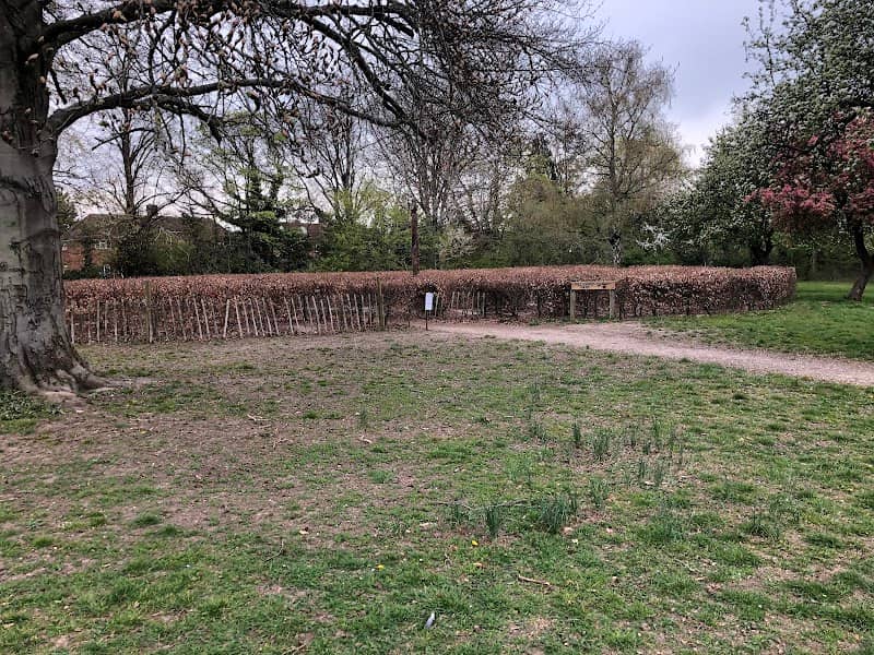 Millennium Maze - Image 1
