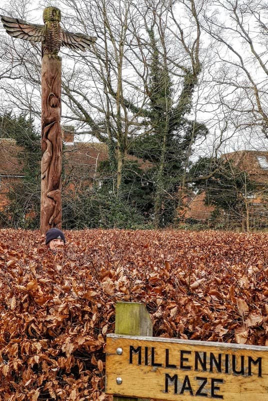 Millennium Maze - Image 2