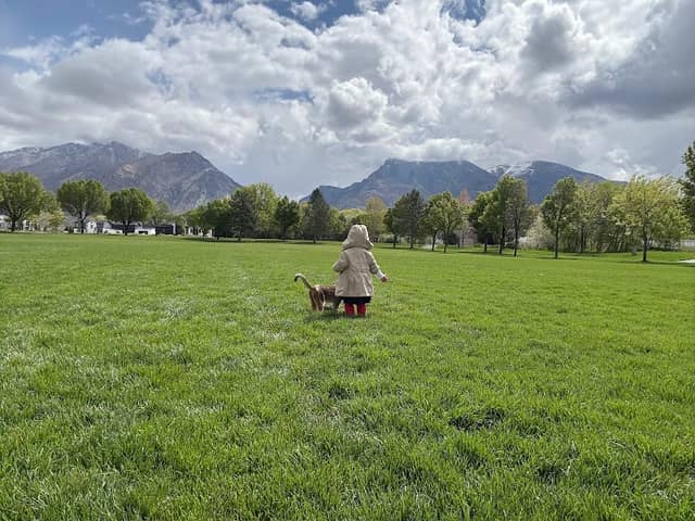 Town Center Meadows Park - Image 2