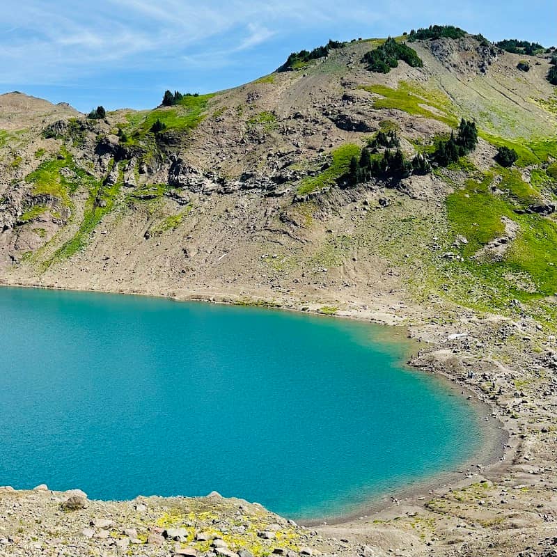 Lily Basin - Image 2