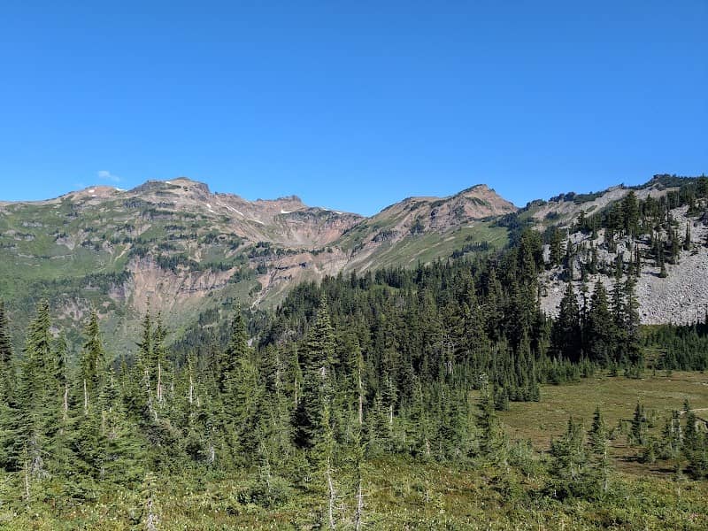 Lily Basin - Image 1
