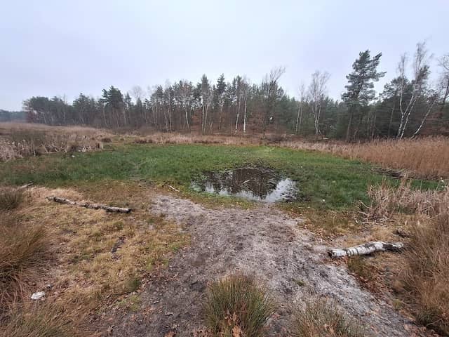 Torfy Rembertowskie - Image 2