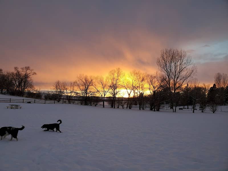 Craig Dog Park - Image 2