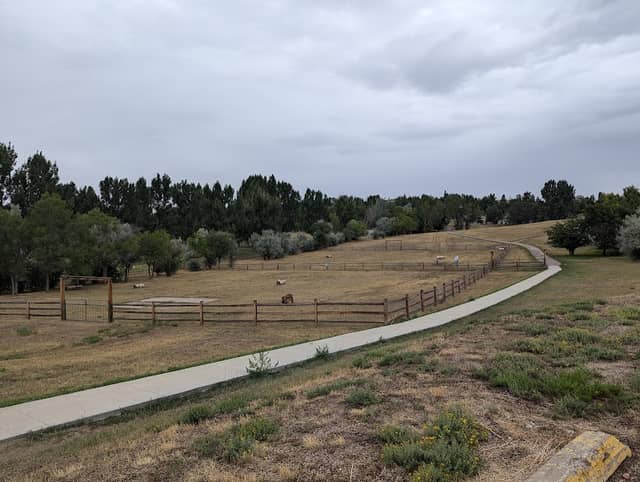Craig Dog Park - Image 1