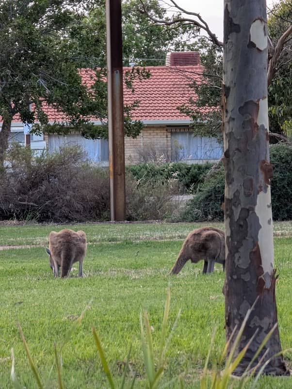 Maritime Park - Image 1