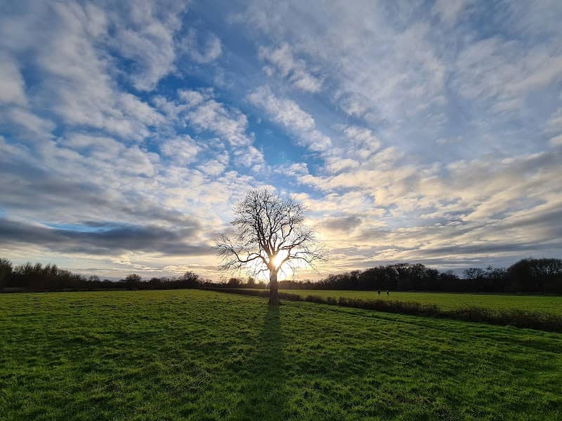Langley Mead - Image 1