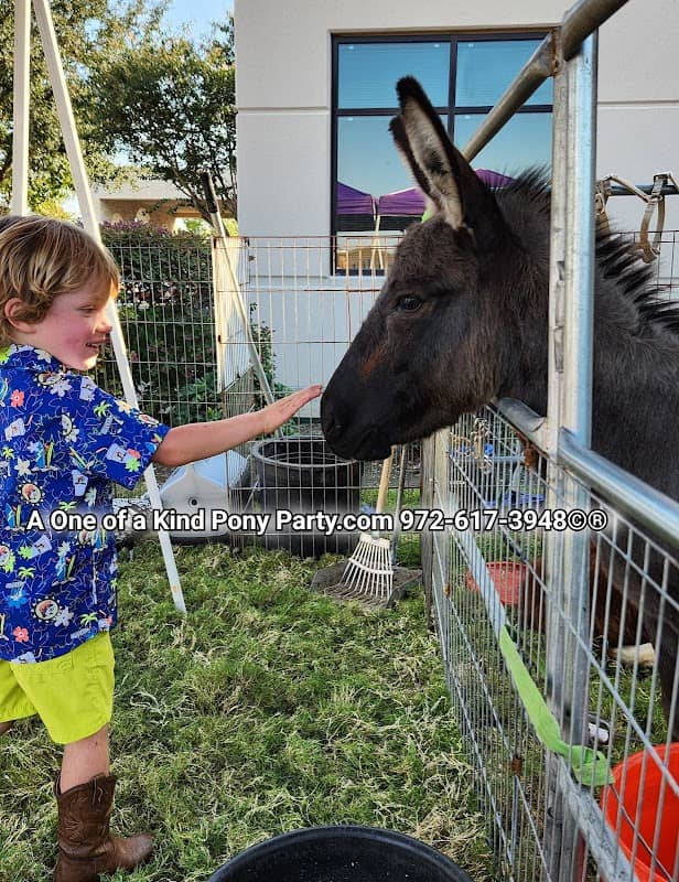 A One of a Kind Petting Zoo - Image 2