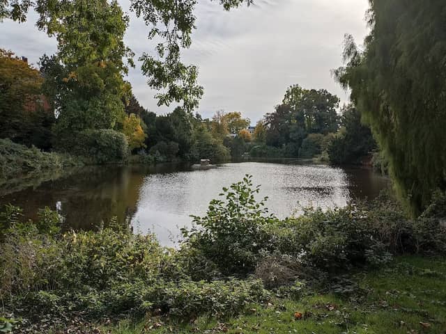 Schlossteich - Image 1
