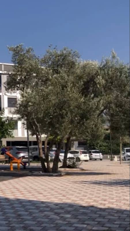 Çocuk parkı - Image 2