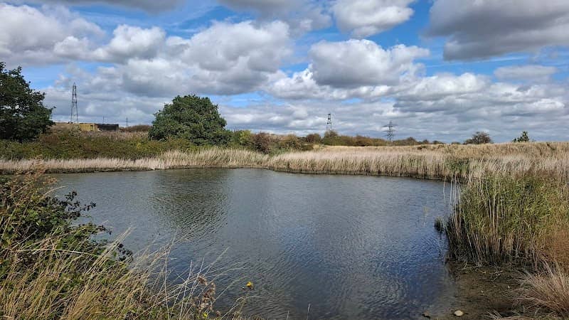 RSPB Stanford Wharf - Image 3
