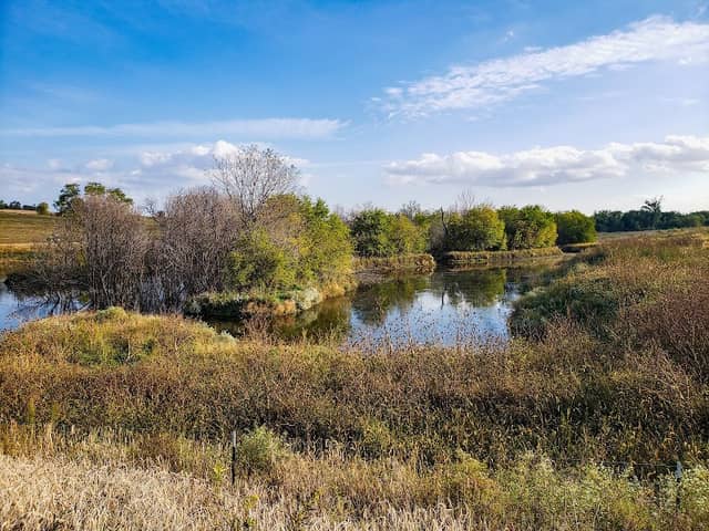Portal Recreation Area - Image 2