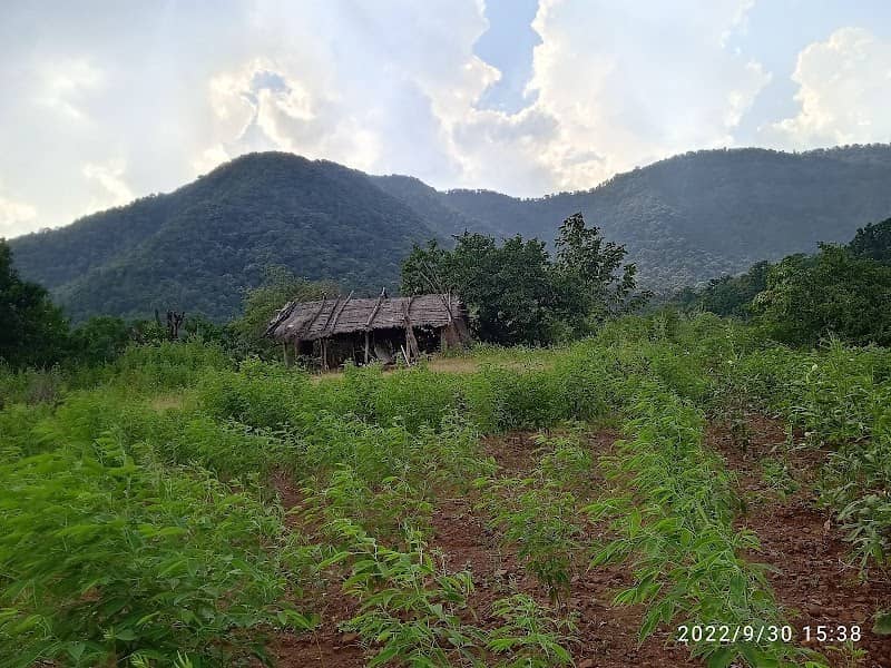 Dhandekar farms - Image 1