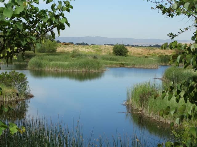 Cache Creek Nature Preserve - Image 2