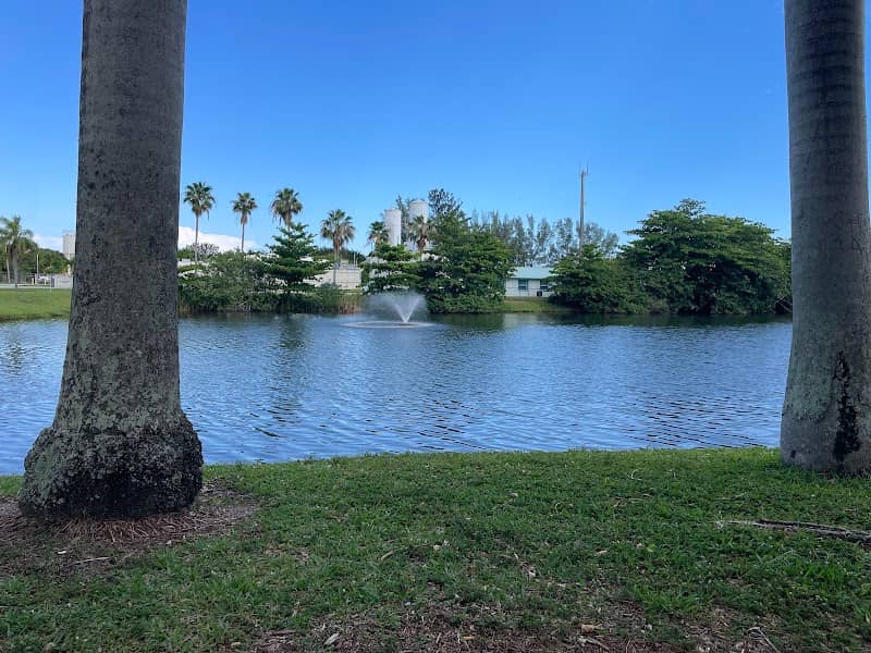 Ponytail Palm Park - Image 2