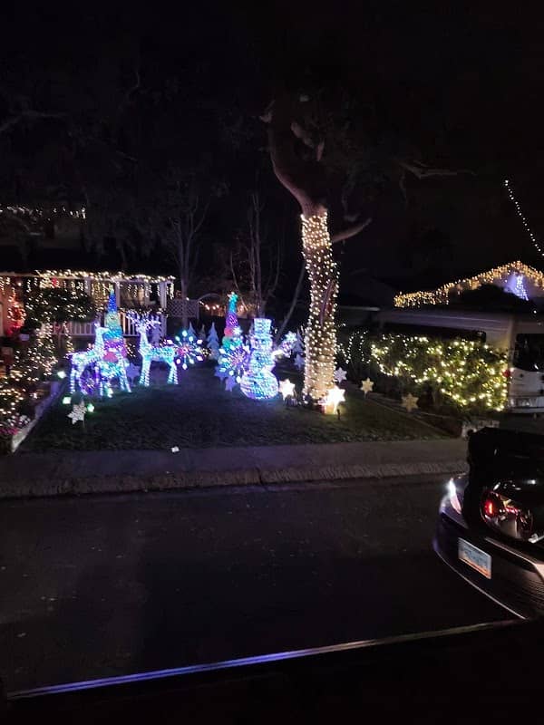 Torrance Christmas Lights - Image 2