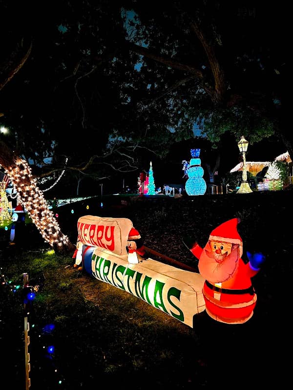 Torrance Christmas Lights - Image 1