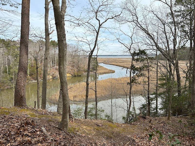 Ware Creek Wildlife Management Area - Image 2