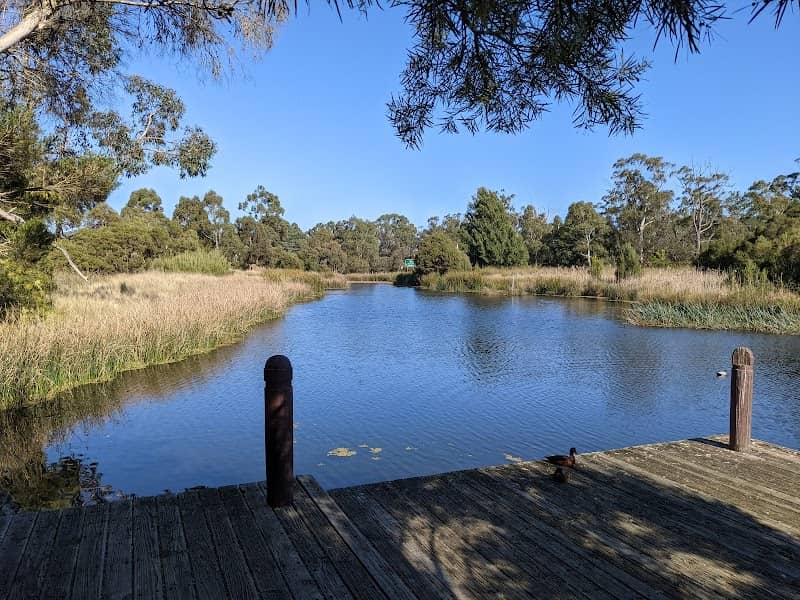Beaconsfield Wetlands - Image 2