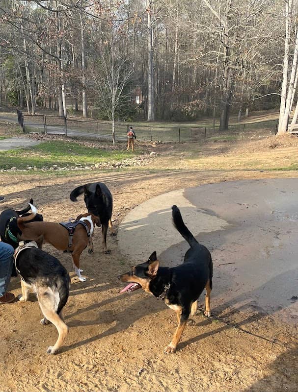 Dallas Dog Park - Image 2