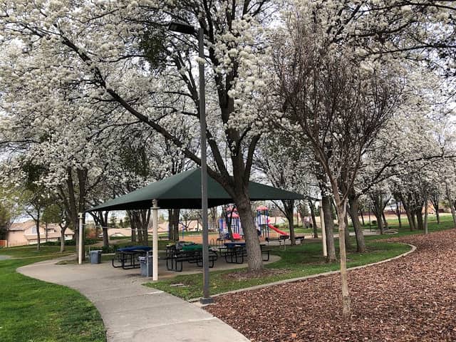 Vista Grande Park - Image 1