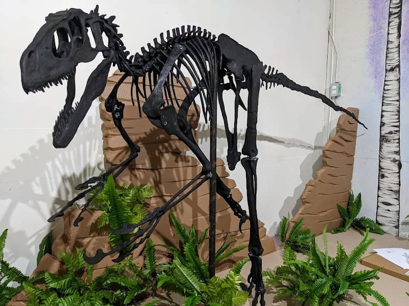 The Boreal Museum - Image 2