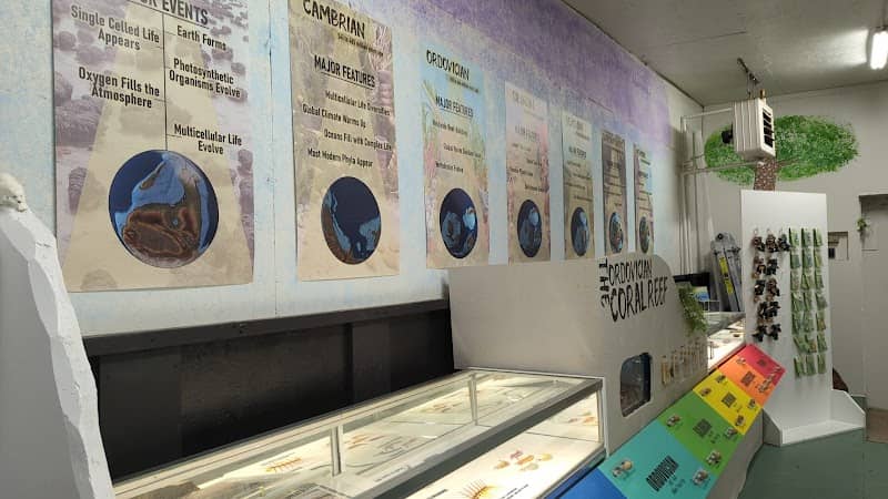 The Boreal Museum - Image 1