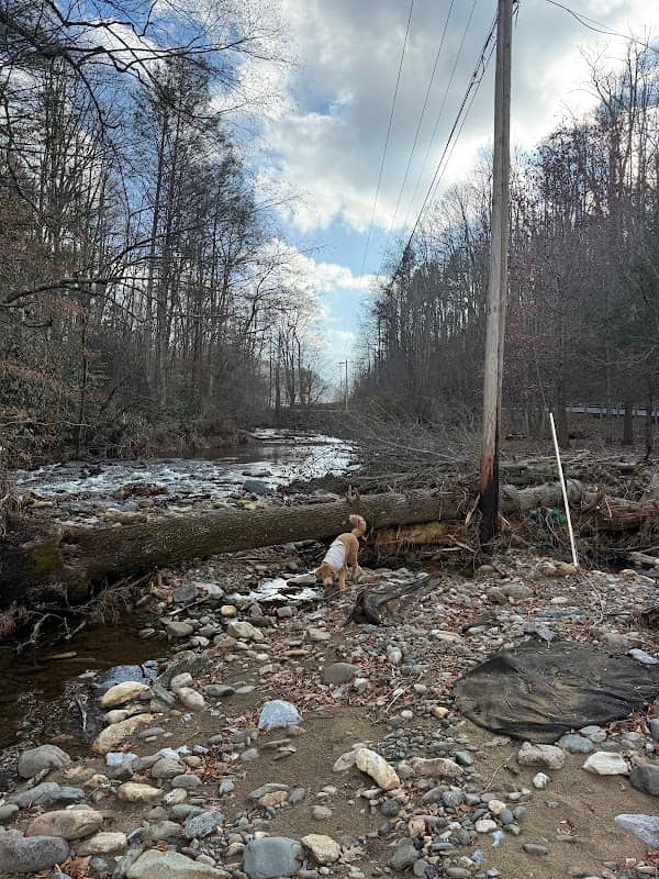 Roan Mountain Community Park - Image 2