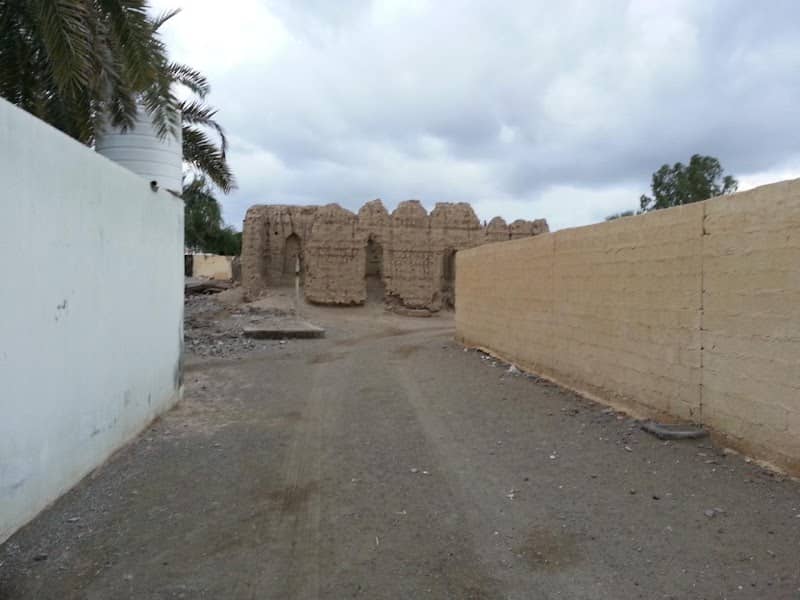 الصفة قصبية الحواسنة - Image 2