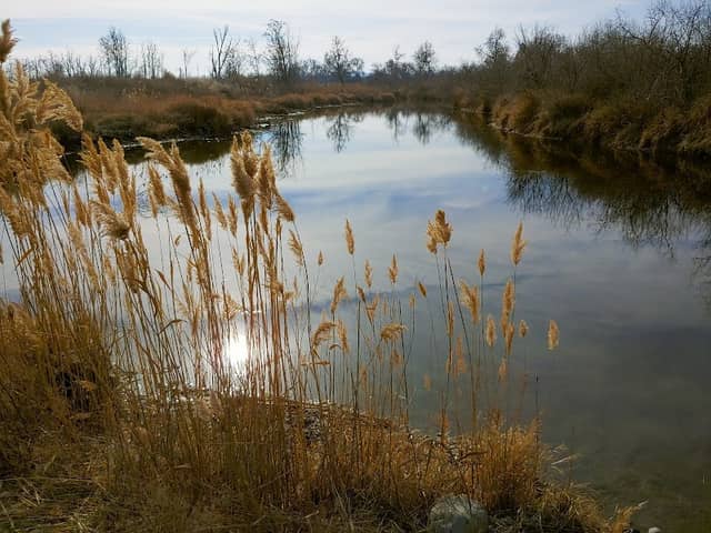 Hood Park Nature Trail - Image 1