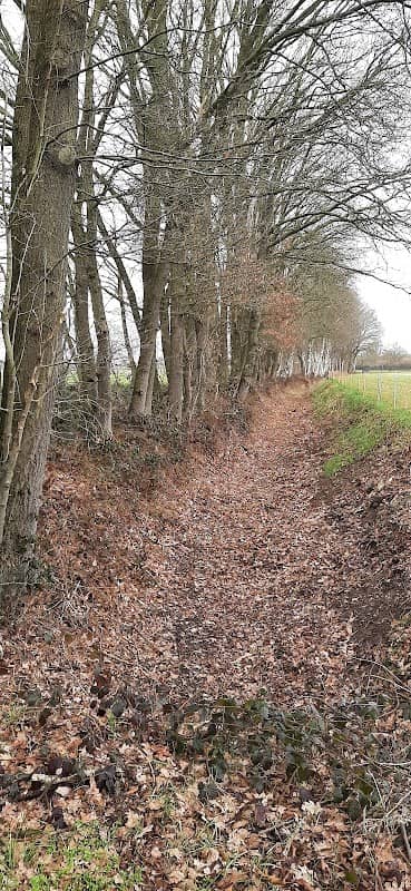 Landgoed Nabbegat - Image 1