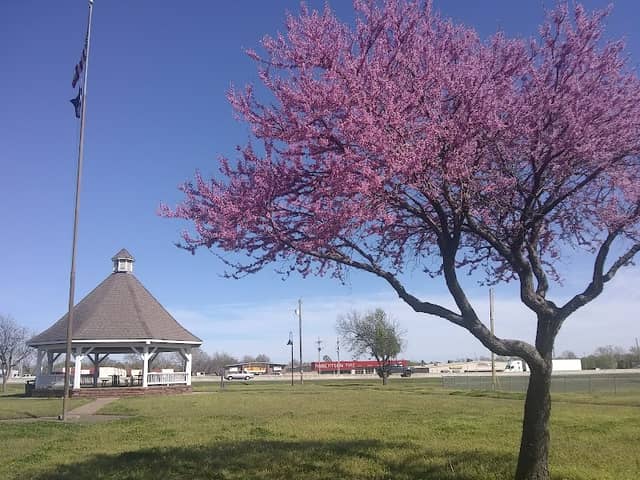 Friendship Park - Image 3