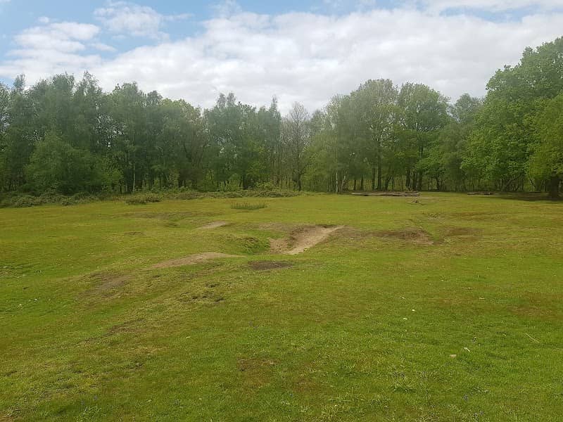 Ashford Warren & Hoads Wood - Kent Wildlife Trust - Image 2