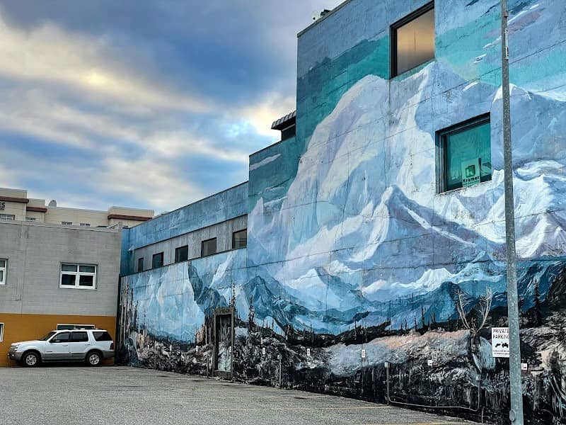 Denali Mural - Image 1