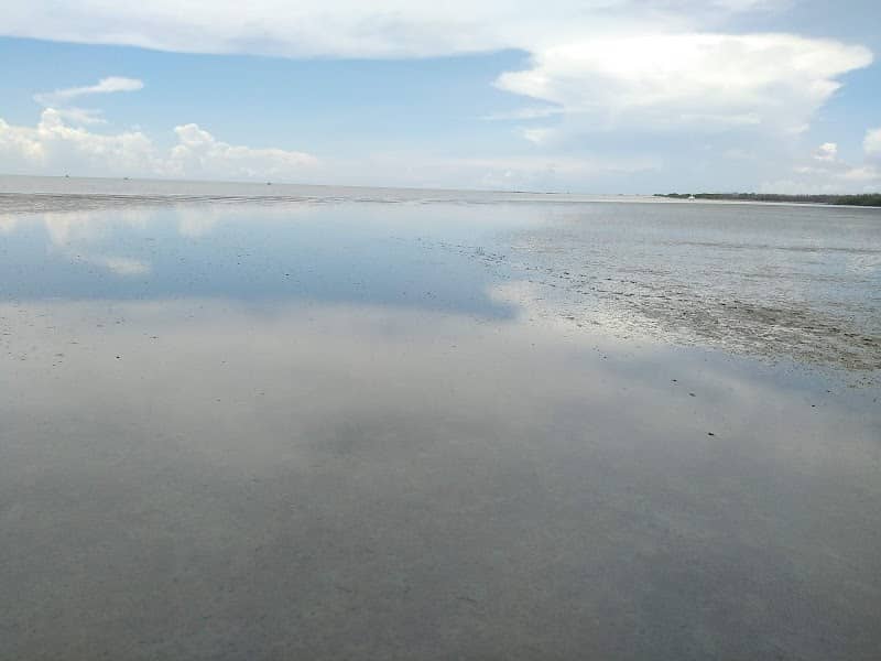 Laem Phak Bia Mangrove Forests - Image 3