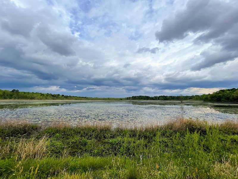 Lake Wallace Walking Trail - Image 2