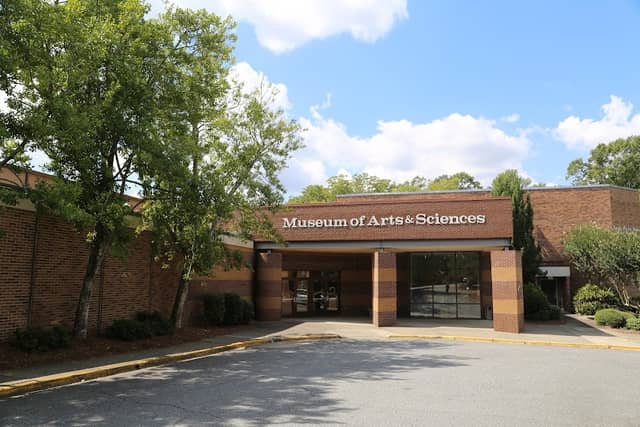 Museum of Arts and Sciences - Image 1