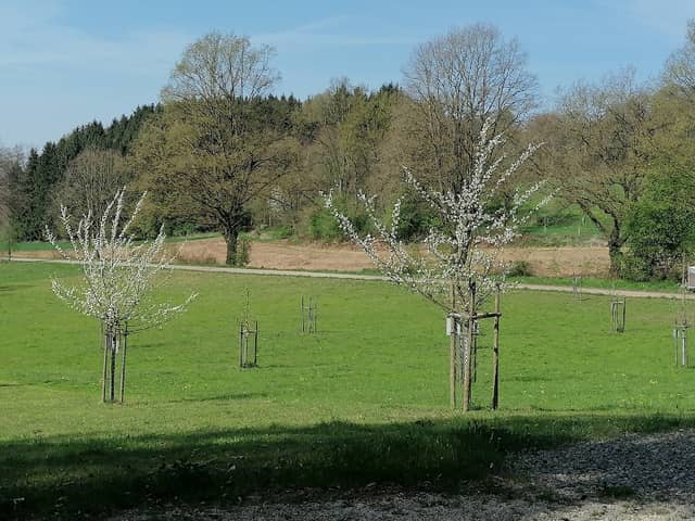Obstwiese des Rotary Clubs Iller-Günz - Image 1