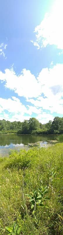 Middlefield - Image 2