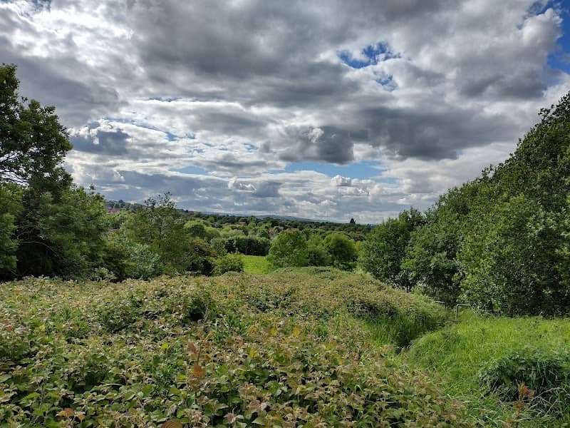 Richmond Heights Open Space - Image 2