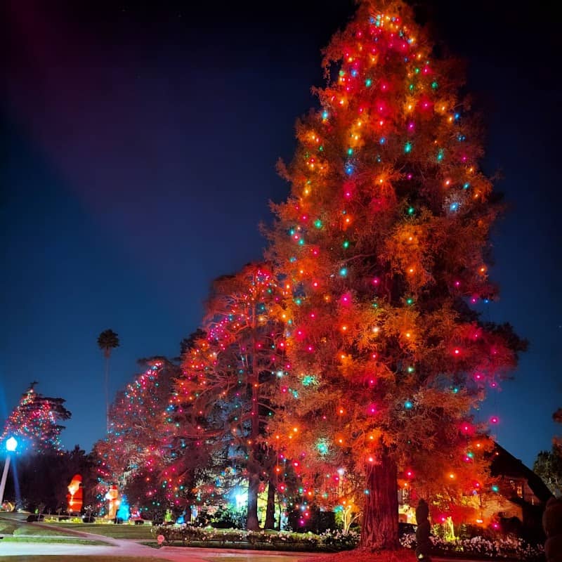 St. Albans Christmas Tree Lane - Image 3