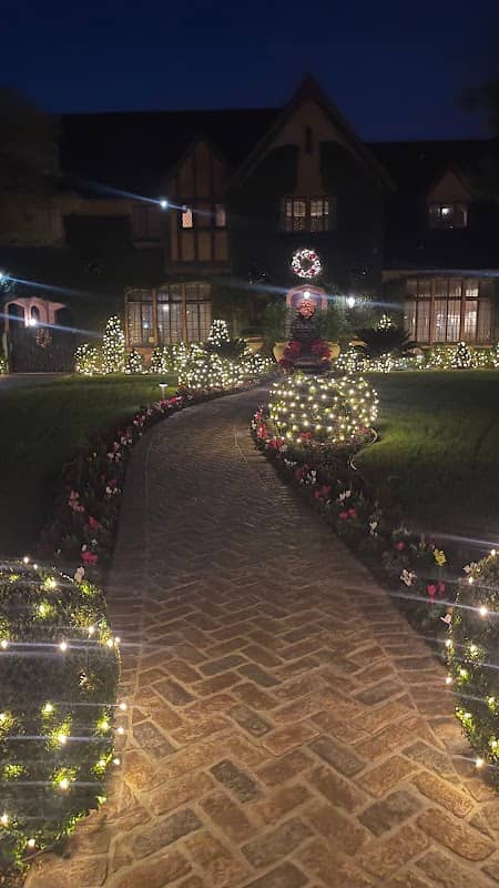St. Albans Christmas Tree Lane - Image 1