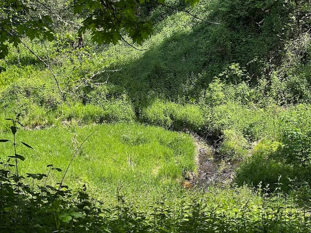 Brezee Creek Trail - Image 1