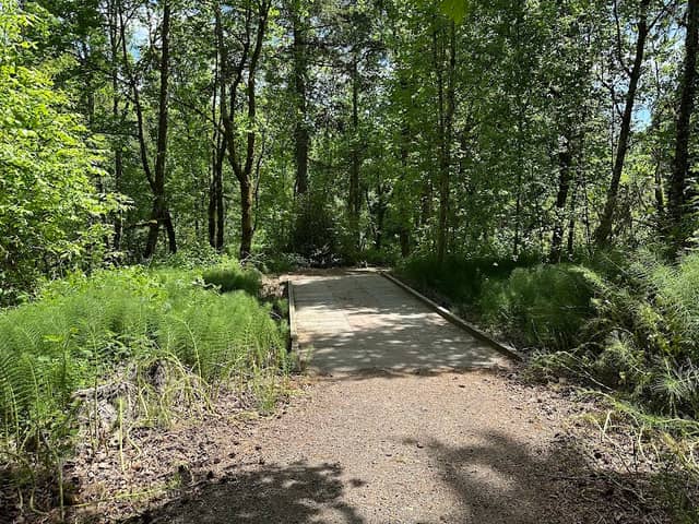 Brezee Creek Trail - Image 2