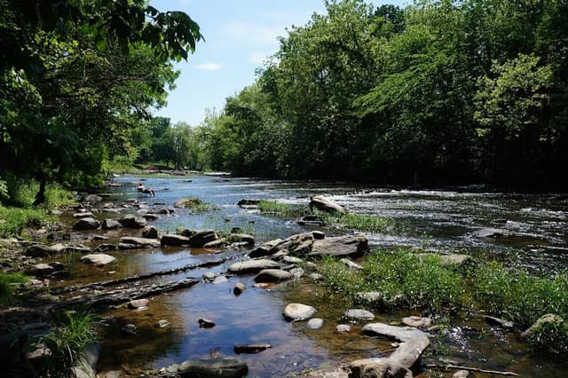 New River Trail State Park - Image 3