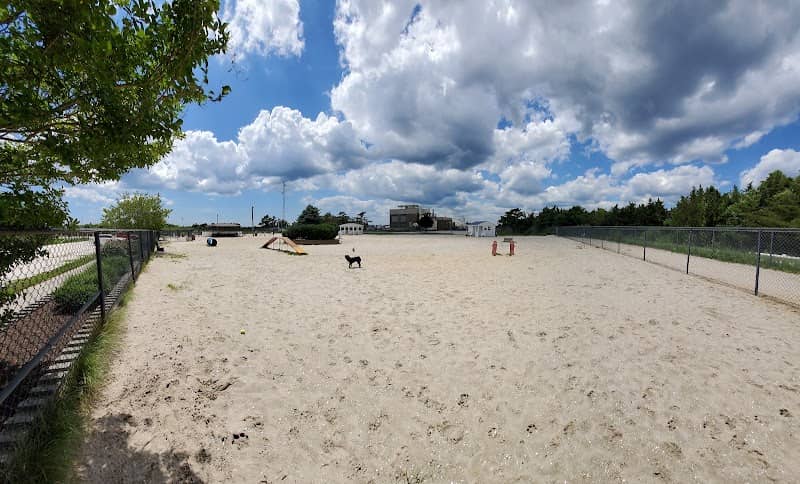 Ocean City Dog Park - Image 2